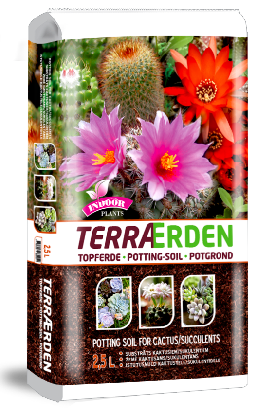 Terraerden Cactus and succulents 2.5 liters