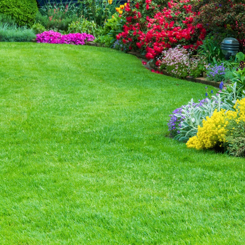 Multipurpose Substrate for Lawn 50 liters